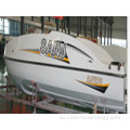 Boat de motor barat amb certificat CE